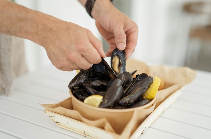 tips mengolah kerang