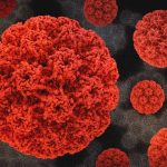 HPV