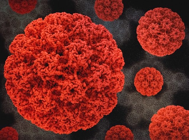HPV