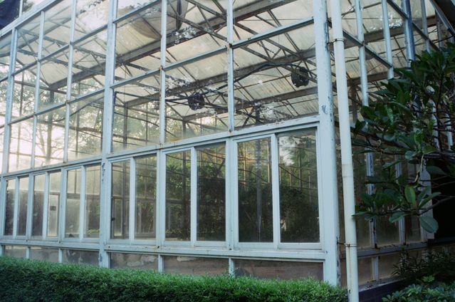 rumah kaca